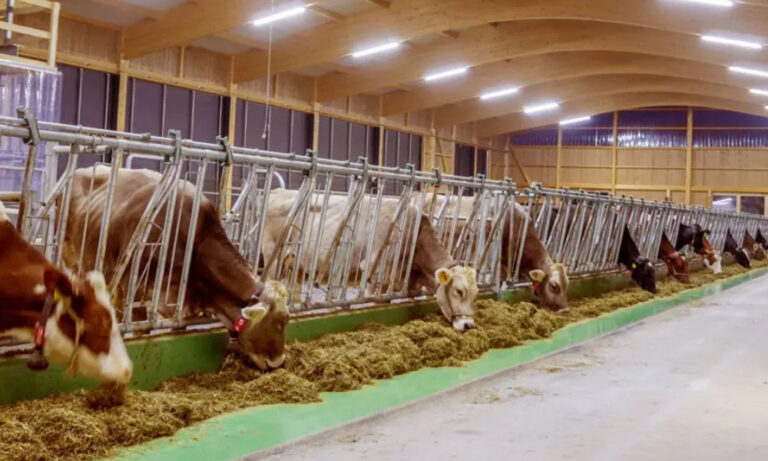 The benefits of supplementary lighting on animal growth in animal husbandry